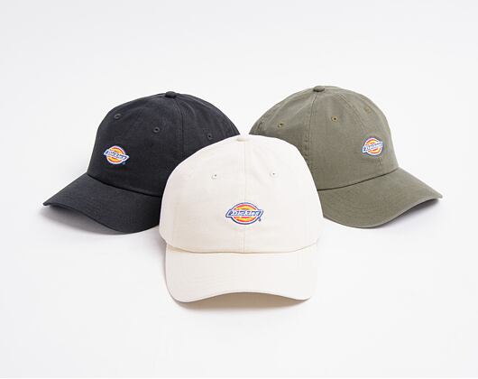 Kšiltovka Dickies Hardwick LTP Stone