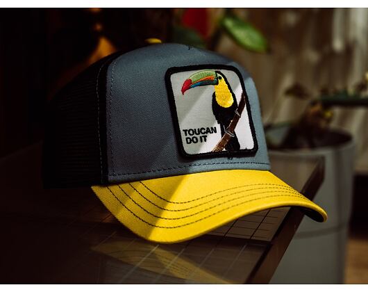 Kšiltovka Goorin - Trucker Iggy Narnar - Grey