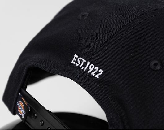 Kšiltovka Dickies Hardwick Black