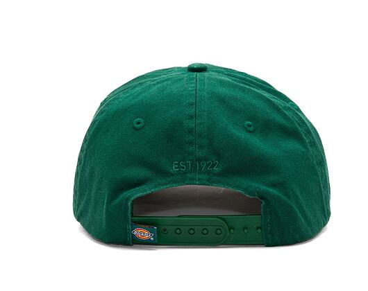Kšiltovka Dickies Hardwick Aventurine
