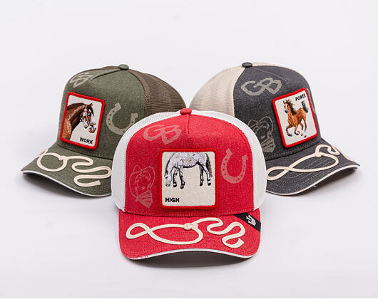 Kšiltovka Goorin - Way Up Trucker