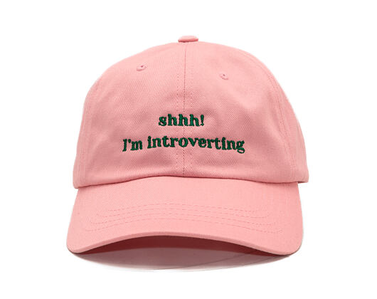 Kšiltovka 8by8 - Dadcap - "shhh! I'm introverting" - Baby Pink/Green