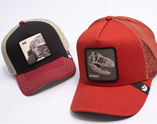 Kšiltovka Goorin - The Extinct Skull - Solar