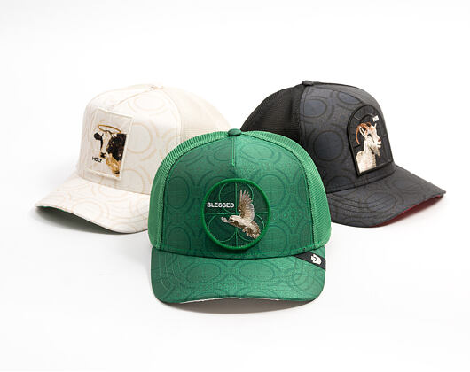 Kšiltovka Goorin - Religulous - Blessed - Envy