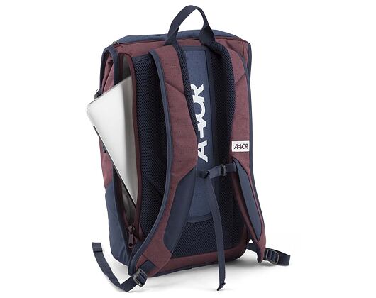 Batoh Aevor Daypack Bichrome Iris