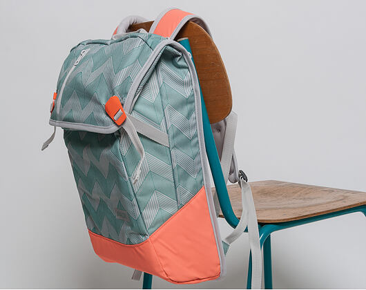 Batoh Aevor Daypack Flicker Mint Coral