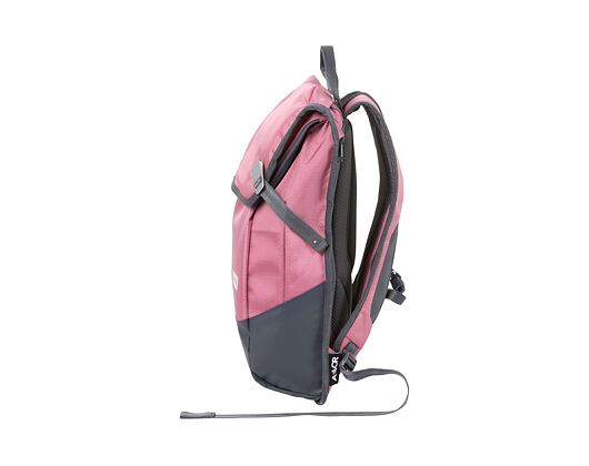 Batoh Aevor Daypack Proof Cassis