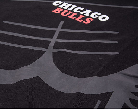 Triko New Era Chicago Bulls Big Logo Tee