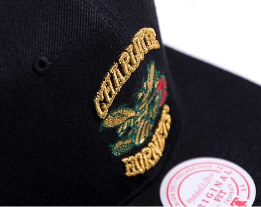 Kšiltovka Mitchell & Ness Bhm Logo Color Snapback HWC Charlotte Hornets Black