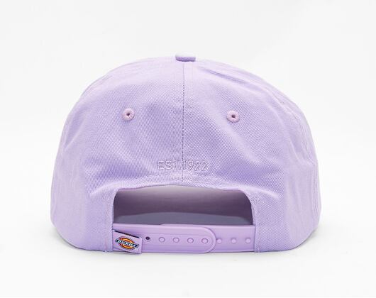 Kšiltovka Dickies Hardwick Cap Blueberry