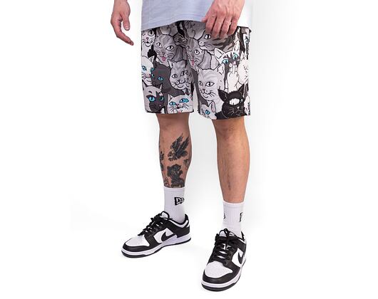 Kraťasy RIP N DIP Family Tree Swim Shorts Black