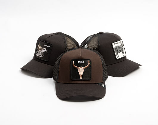 Kšiltovka Goorin - Dead Skull Trucker - Ground / Void
