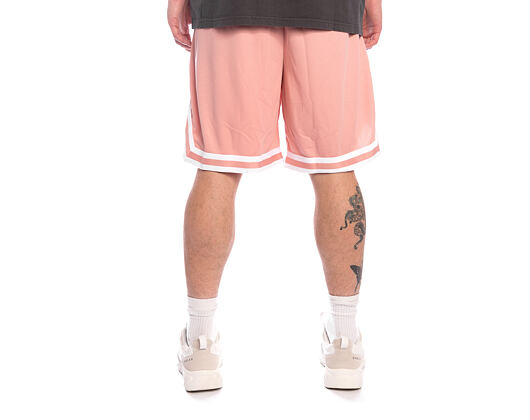 Kraťasy Karl Kani - Small Signature Essential Mesh Shorts