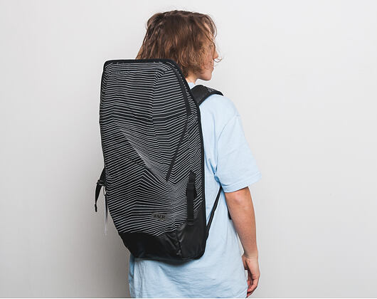 Batoh Aevor Daypack Fineline Black