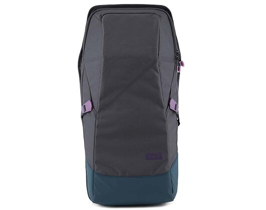 Batoh Aevor Daypack Echo Grape