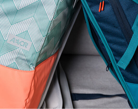 Batoh Aevor Daypack Flicker Mint Coral