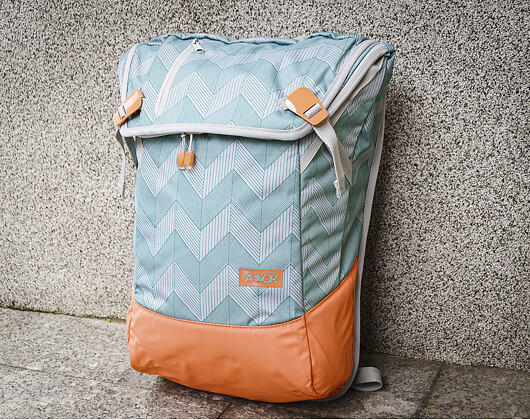 Batoh Aevor Daypack Flicker Mint Coral