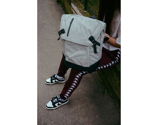 Batoh Aevor Daypack Bichrome Steam