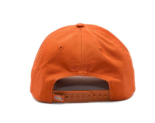 Kšiltovka Dickies Hardwick Bombay Brown