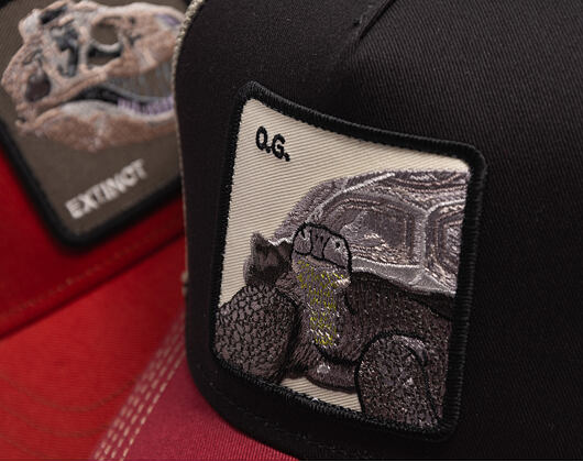 Kšiltovka Goorin - Tricolor Tortiouse - Multi Color