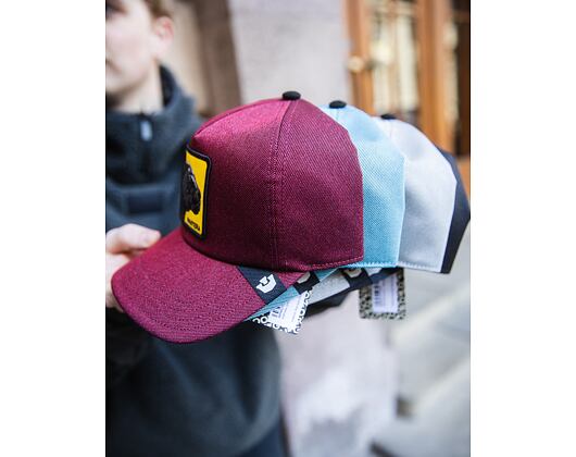 Kšiltovka Goorin - Next Gen Raven - Dust