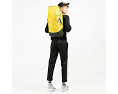 Batoh Aevor Daypack Bichrome Sub