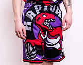 Kraťasy Mitchell & Ness Toronto Raptors Big Face