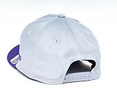 Kšiltovka New Era 9FIFTY Stretch-Snap NBA Tonal Los Angeles Lakers Grey
