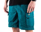 Kraťasy Dickies JACKSON CARGO SHORT DK0A4YACE641