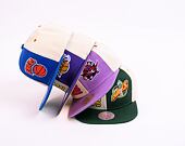 Kšiltovka Mitchell & Ness NBA Pop Panel Snapback Hwc Toronto Raptors Off White