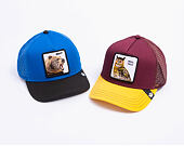 Kšiltovka Goorin - The Real Talk Owl