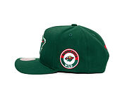 Kšiltovka Mitchell & Ness - Minnesota Wild - Double Clutch Pro Snapback - Green