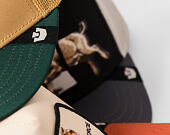 Kšiltovka Goorin - Migration - Pro - Fish - Amber / Guard