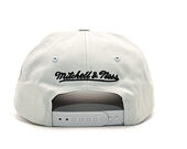 Kšiltovka Mitchell & Ness Elements Dad Hat Brooklyn Nets Grey Snapback