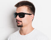 Sluneční Brýle Oakley Holbrook Polished Black/Prizm Black OO9102-E155