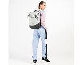 Batoh Aevor Daypack Bichrome Steam