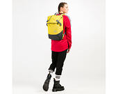 Batoh Aevor Daypack Bichrome Sub