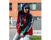 Mikina Helly Hansen Urban Retro Hoodie Pepper Green
