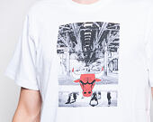 Triko New Era Photo Print Chicago Bulls White