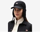 Kšiltovka Dickies King Cove Black