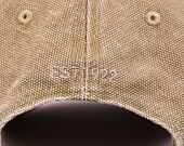 Kšiltovka Dickies HARDWICK DUCK CANVAS DK0A4Y9IDS01