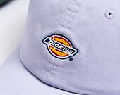 Kšiltovka Dickies Hardwick DK0A4TKVH181