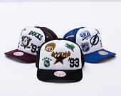 Kšiltovka Mitchell & Ness - Gridlock Trucker Vntg - Dallas Stars - White