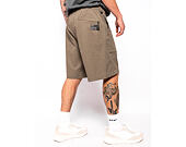 Kraťasy Oakley - Fgl Pit Shorts 5.0 - Sheet Metal