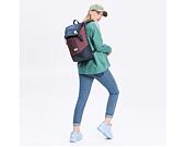 Batoh Aevor Daypack Bichrome Iris