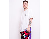Kraťasy Mitchell & Ness Toronto Raptors Big Face