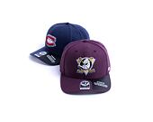 Kšiltovka 47 Brand Anaheim Ducks Cold Zone '47 MVP DP