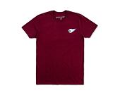 Triko Pink Dolphin Legendary Logos Tee US22111LLCU Maroon