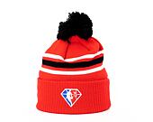 Kulich New Era NBA 21 City Edition Knit Chicago Bulls Official Team Color