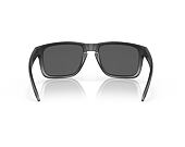 Sluneční brýle Oakley Holbrook XL - Steel / Prizm Black Polarized - OO9417-3059